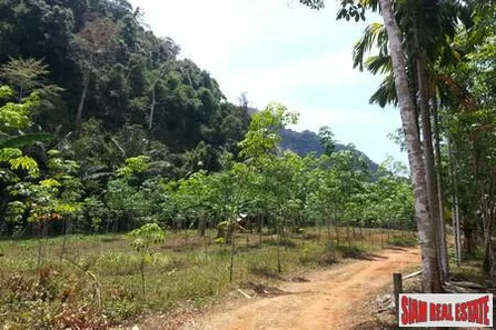Large 5 Rai Land Plot Midway Between Ao Nang and Krabi Town