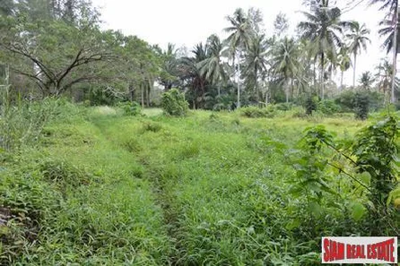 Plots of Land for Sale in Khao Lak with Road Access of Tarmac