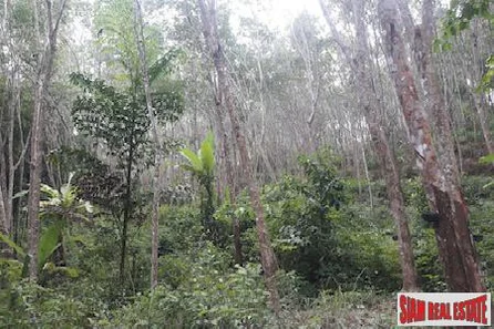 Over 20 Rai of Land for Sale in Beautiful Phang Nga