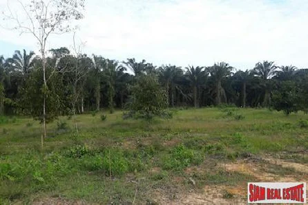 Large Land Plot for Sale Close to the Sarasin Bridge in Phang Nga