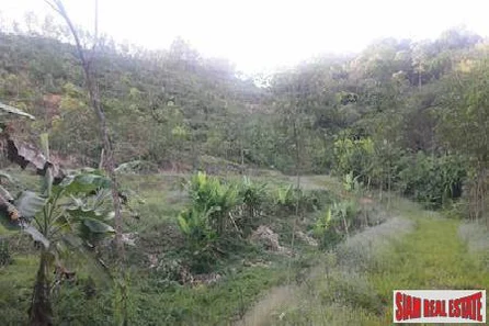 Large Land Plot for Sale in Beautiful Phang Nga