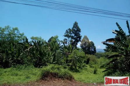 Over 20 Rai of Land for Sale in a Private Area of Phang Nga