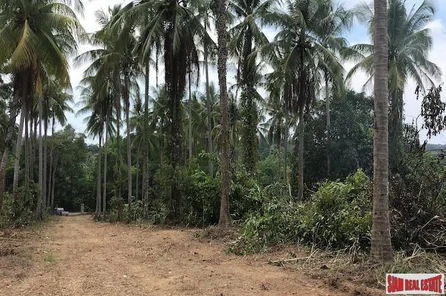 Large Land Plot near the Beach with Some Sea Views in Phang Nga
