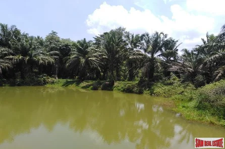 Large Land Plot with Lake and Palm Plantation North of Khao Lak