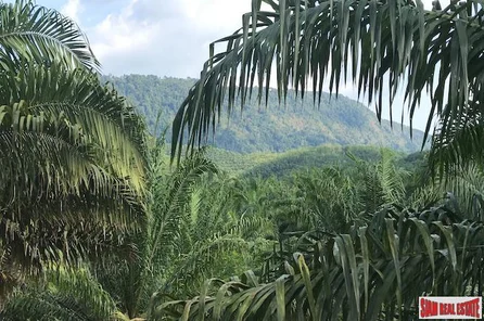 Lush Tropical  Land Plot with Gentle Slope in Takua Thung, Phang Nga