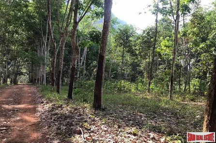 Large Flat 20+ Rai Land Plot  with Nice Mountain View for Sale in Nong Thaley, Krabi