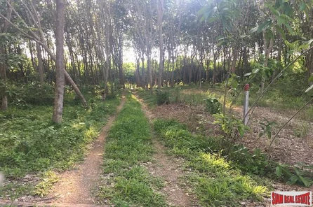 One Rai Land with a Rubber Plantation for Sale Close to Amenities in Sai Thai, Krabi