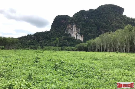 Over 16,000 sqm of Land for Sale in Nong Thaley, Krabi