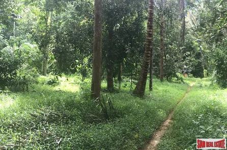 Large Land Plot Over 3 Rai with Mountain Views and Fruit Trees for Sale in Krabi