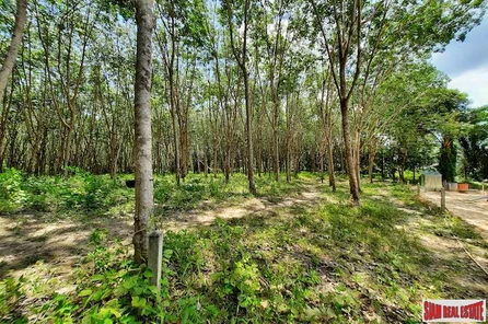 Over Four Rai of Land for Sale in Developing Area of Nong Thaley