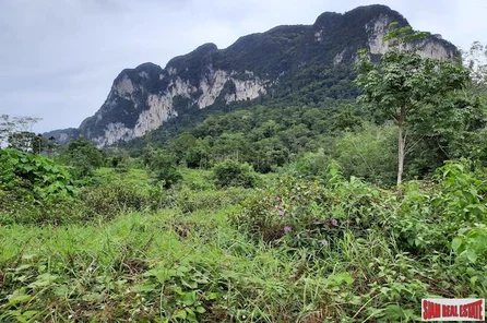 Over 16 Rai of Land for Sale in Khao Thong with Beautiful Krabi Mountain Views