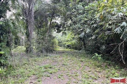 Exceptional 10 Rai Land Plot for Sale that Surrounds a Crystal Clear Stream - Nong Thaley