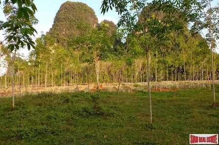 A 16 Rai Land Plot with Fantastic Mountain Views for Sale in Nong Talay