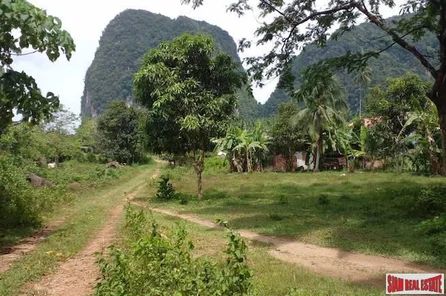 Land Plot Over 43 Rai with Palm Plantation for Sale in Khao Krabi - Great Investment Property