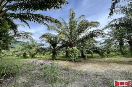 40 Rai Land Plot with a Good Location and Mountain Views for Sale in Khao Thong, Krabi