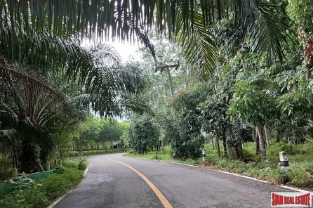 Lush Tropical 18 Rai Land Plot for Sale in Khok Kloi, Phang Nga