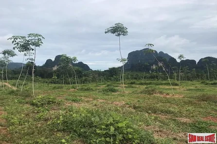 Over 28 Rai of Flat Land with Beautiful Mountain Views for Sale in Khao Thong