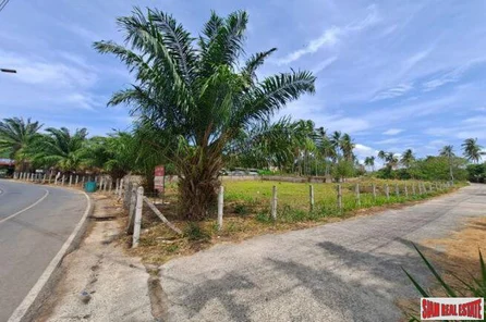 Half Rai Land Plot with Roads on Two Sides for Sale in Rawai