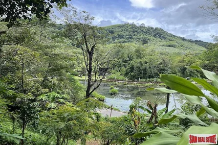 Almost 4 Rai of Lush Tropical Land for Sale in Pa Khlok