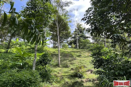 Peaceful 2 Rai, 3 Nga Land Plot with Small Waterfall for Sale in Thalang