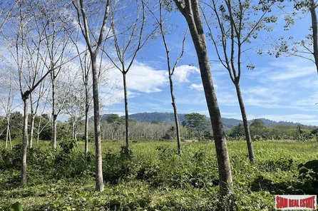 Almost 11 Rai of Rubber Plantation for Sale in Takua Tung, Phang Nga