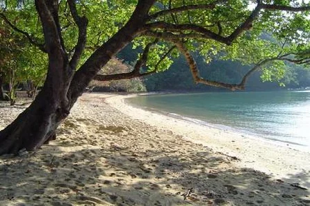 20 rai of Pristine Beachfront Island Land on Koh Yao Noi