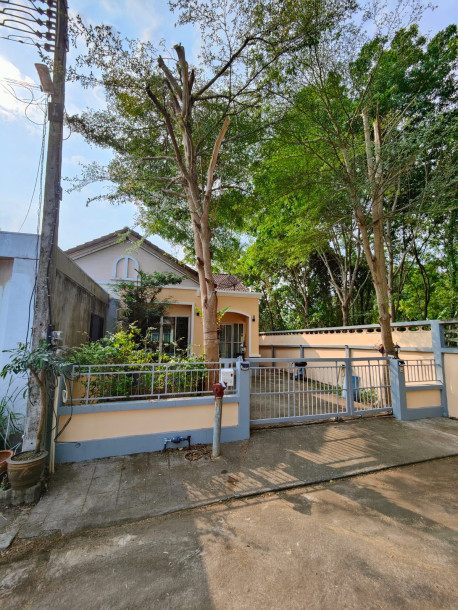 Sinsuk thanee village Semi-Detached house 2 bedroom for sale-15