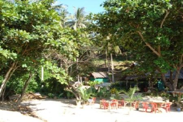 Absolute Beach Front - Land on Koh Lanta for Sale 27 Rai, Krabi-2