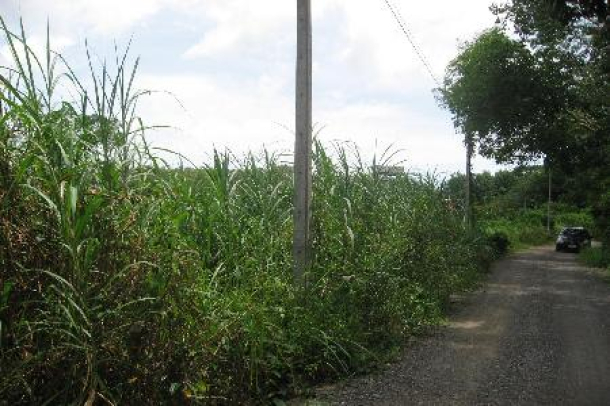 10 Rai of Land For Sale at the Quiet Area of Thalang, Phuket-6