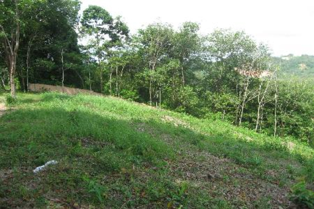 11.5 Rai of Hillside Land For Sale at Layan, Phuket-2