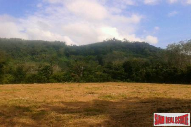 6 Rai of Land of cleared flat land for Sale at Paklok-1