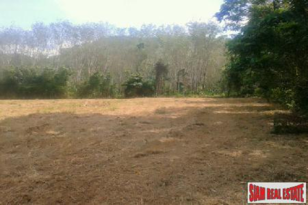 6 Rai of Land of cleared flat land for Sale at Paklok-2