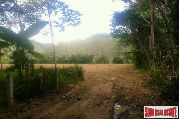 6 Rai of Land of cleared flat land for Sale at Paklok-4