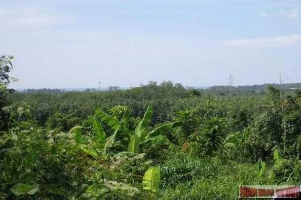 9988 Sq.m. of Land with Sea Views in Mai Khao-2