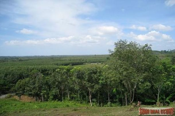 9988 Sq.m. of Land with Sea Views in Mai Khao-6