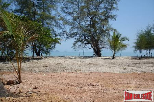 6.26 Rai of Beach Front Land on Koh Yao Yai-3