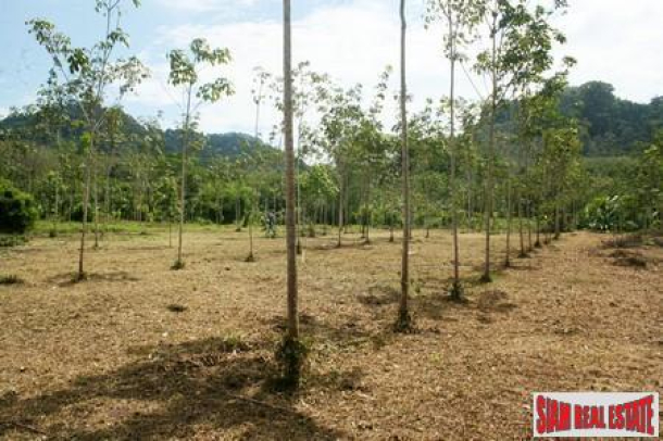 Two and half  Rai of Unspoilt Land in a Peaceful Area of Thalang-1