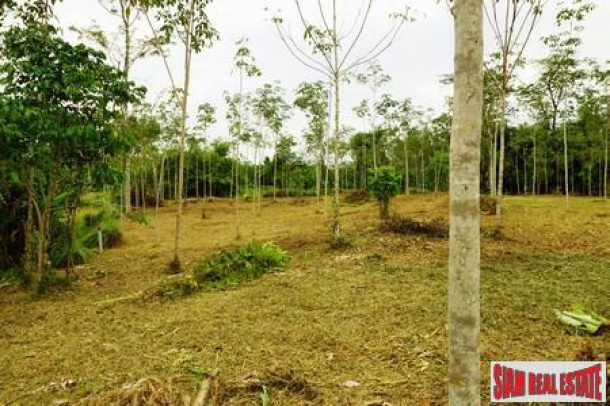 Two and half  Rai of Unspoilt Land in a Peaceful Area of Thalang-2