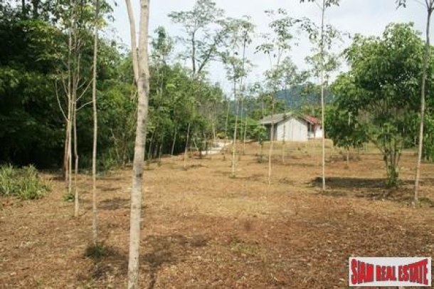 Two and half  Rai of Unspoilt Land in a Peaceful Area of Thalang-5