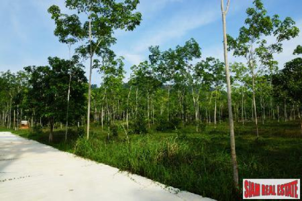 Two and half  Rai of Unspoilt Land in a Peaceful Area of Thalang-8