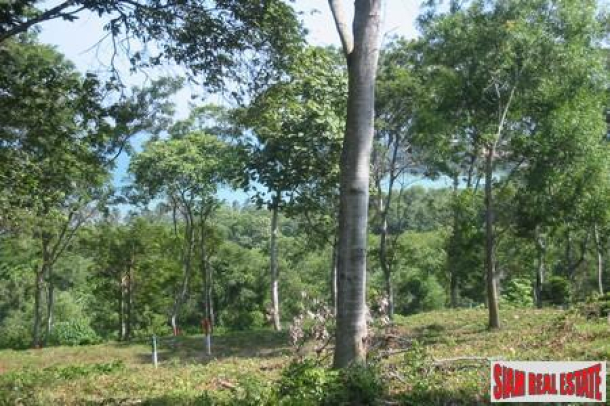 One Rai of Hillside Land with Spectacular Views of Cape Panwa-5