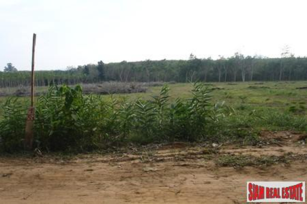 Large 6.1 Rai Flat Land Available in Thalang-2