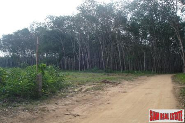 Large 6.1 Rai Flat Land Available in Thalang-4