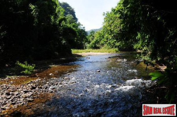 River Side Land in Prime Tourism Location near Khao Sok National Park-1
