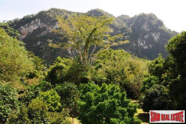 River Side Land in Prime Tourism Location near Khao Sok National Park-4