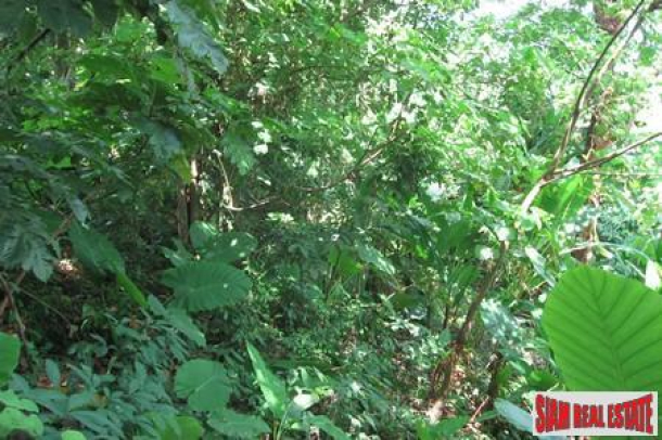 Great Development Opportunityâ€”1.5 Rai Divided into 9 Plots in Patong-12