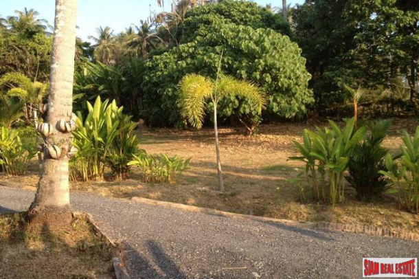 332 SQM Plot in Eco-Resort on Coconut Island-2
