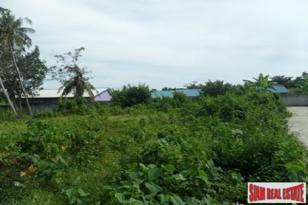 Residential Plot Available in Rawai-8