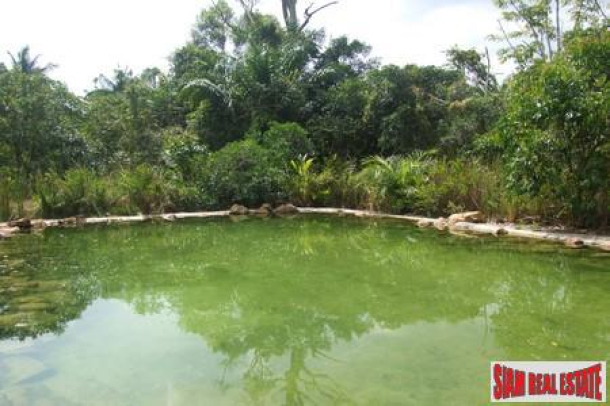 Wonderful Land With Amazing Hot Spring Water-2