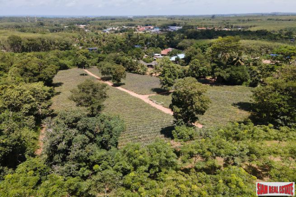 Mai Khao Land for Sale with Spectacular Views and Gentle Slope - Sub-Division Possible 2 to 7 Rai available-5
